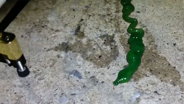 Nope des Tages: Fischer finden grünen Wurm an Taiwans Küste