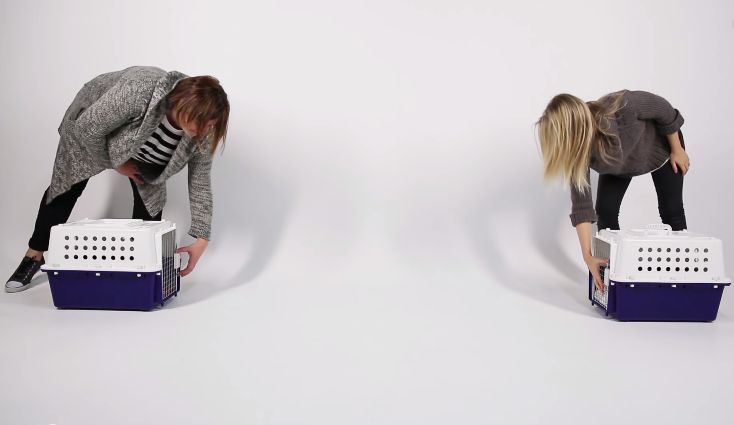stiftung warentest kündigung was macht frauen verrückt stiftung warentest kündigung was macht frauen verrückt