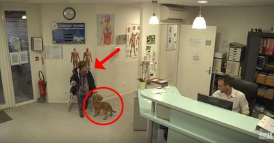 Sie will ihren Hund im Tierheim abgeben...