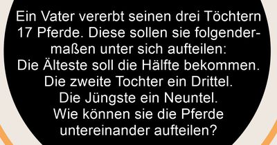 Rätsel: Wie sollen sie die Pferde aufteilen?