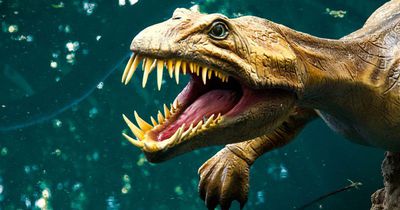 Stimmt das, was wir über Dinosaurier wissen?