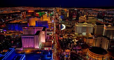 Las Vegas hat ein ziemlich flauschiges Problem