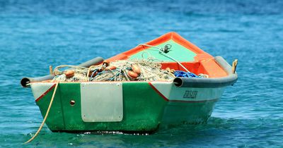 Hai springt in Boot und verletzt Fischer