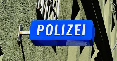 Vom Eichhörnchen zum Streifenhörnchen