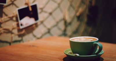 Bei diesem Tier-Café scheiden sich die Geister