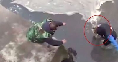 Streuner aus Eiswasser gerettet!