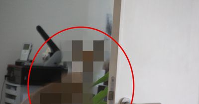 Ein Morgen, den diese Büro-Mitarbeiter nicht vergessen werden