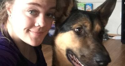 Sie füttert einen Hund im Tierheim - und plötzlich steht er bei ihr vor der Tür!
