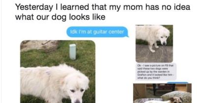 Diese Mutter denkt ihr Hund sei weg gelaufen