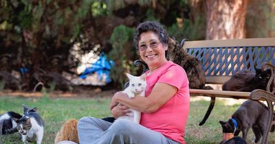 Die ultimative Katzenfrau: Diese Dame hat 1.100 Katzen!