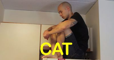 So sähe es aus, wären wir Katzen oder Hunde