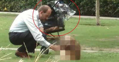 Dieses Foto gibt den Glauben an die Menschheit zurück