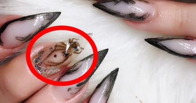 Dieser Nageltrend sorgt für einen Shitstorm